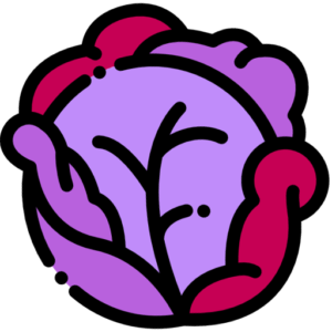 CABBAGE / Red (each)