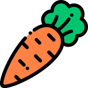 CARROT / Large (750g)
