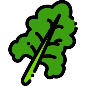 SPINACH / Chard (bunch)