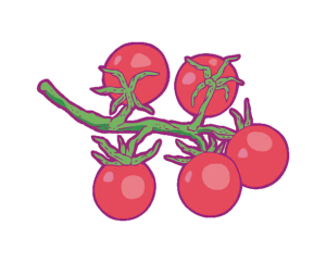 TOMATO / Bella (200g)