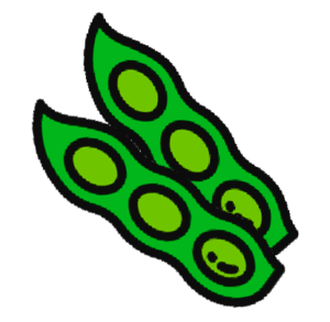 BEANS / Green (200g)