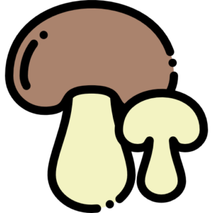 MUSHROOM / Button (200g)