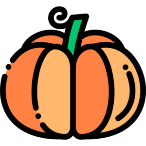 PUMPKIN (Quarter)