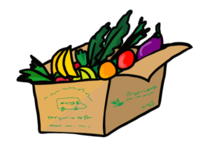 VEGGIE BOX / Seasonal Full (9 - 12 items)