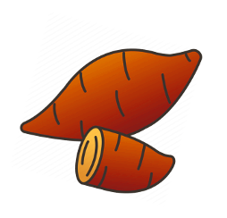 SWEET POTATO / Yellow (kg)