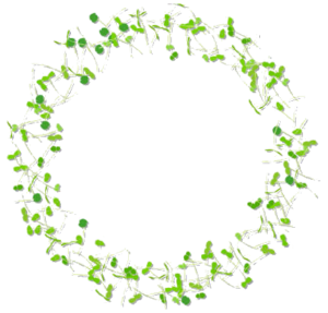 MICRO HERBS / Mix (40g)