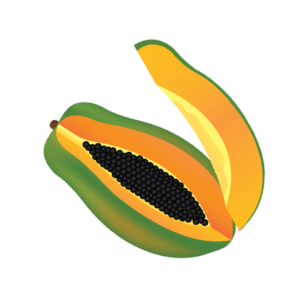 PAW-PAW / Large (each)