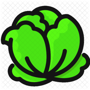 LETTUCE / Iceburg (each)