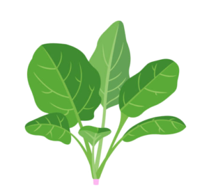 SPINACH / Asian (250g)