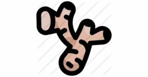 GINGER / Non-Local (125g)