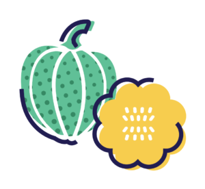 SUMMER SQUASH / Mix (300g)