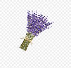 LAVENDER (bunch)