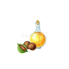 MACADAMIA OIL / 500ml
